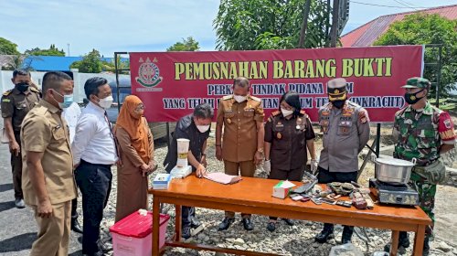 Puluhan Barang Bukti Sabu dan Ribuan Obat Terlarang Dimusnahkan Kejari Luwu